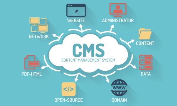 Top CMS in 2023